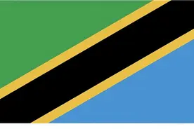 2022坦桑尼亚商务签证办理流程材料及入境政策图片