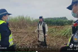 面包车牌88888，“乔峰”被举报，交警追到甘蔗地里核查…图片