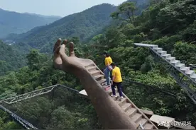 这回，我是真“酸”了图片