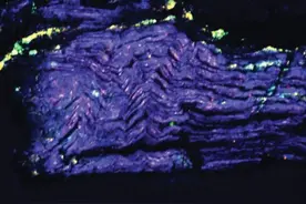 自然界最硬的物质，竟然也能形成褶皱图片