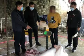 我为群众办实事 | 私宰生猪、飞车抢手机、闹市行窃？南宁西乡塘警方：抓！图片