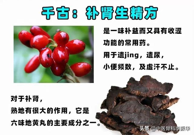 今天给大家说一个补肾生精的小方子,两味药材,组合泡水喝,大补脾肾.