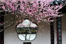 6首最美桃花诗词：桃之夭夭，惊艳了整个春天!图片