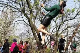 “中国式大妈”尴尬了谁？图片