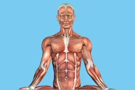 每天虐腹却练不出腹肌？注意4点，6个动作高效练出六块腹肌图片