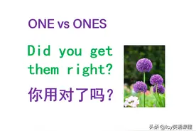 ONE vs ONES的区别及用法图片