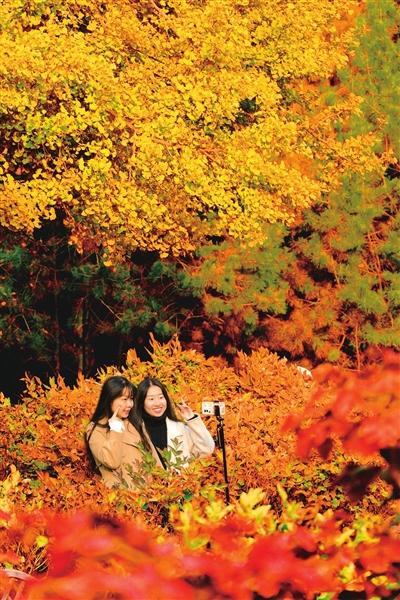 并州秋景胜春朝