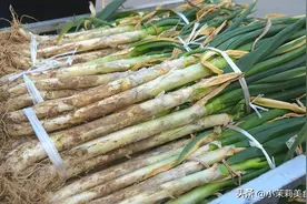 买回家的大葱，直接保存容易烂，80奶奶教3招，吃3个月也新鲜味足图片