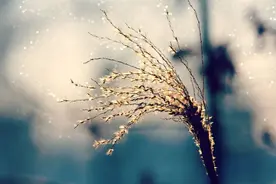 人活着，不生气，你就赢了！图片