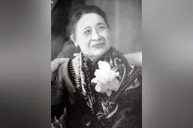 1950年，蒋介石满脸厌恶的看着宋美龄，随后将筷子摔在桌子上图片