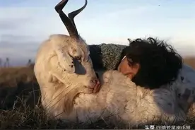 「射手座」最讨厌听到的话图片