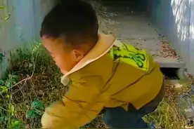 真相已来？甘一航奶奶讲述爷爷说的谎言，整件事情或许是意外图片