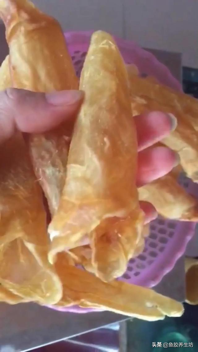 巴沙鱼的鱼胶为什么便宜 巴沙鱼的鱼胶为什么便宜一点 巴沙鱼的鱼胶为什么便宜 巴沙鱼的鱼胶为什么便宜一点