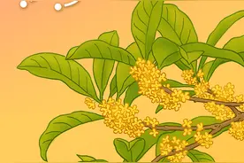 秋色平分、众星列阵、木星有约……秋分星空看点在此图片