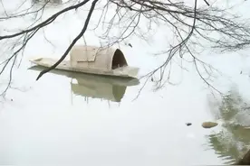 如何进行精神症状的自我鉴定呢？《耕心手记35》图片