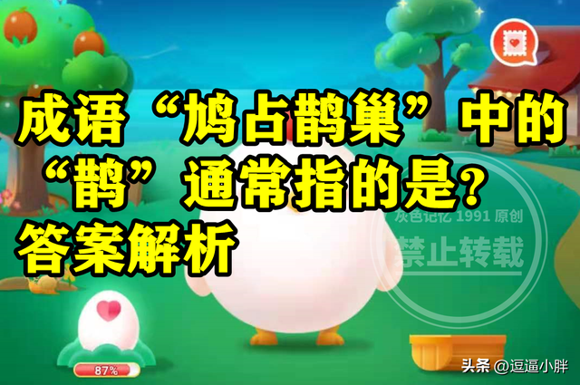 鸠占鹊巢的鸠和鹊是什么意思(成语鸠占鹊巢中的鹊通常指的是麻雀还是