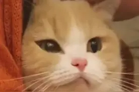 “妈，这些话，我想对你说……”图片