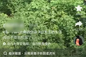 云南警方辟谣“上山捡菌遇老虎”：男子在动物园拍摄，行拘5日图片