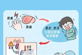 健康红河 | 如何预防野生河鲀、贝类和鱼籽中毒？一图读懂！图片