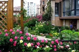 都说一楼带院子好，我家刚住半年就觉得“苦不堪言”，真后悔！图片