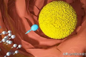 欧美流行的避孕方式，为啥在国内火不起来？不是不懂浪漫图片