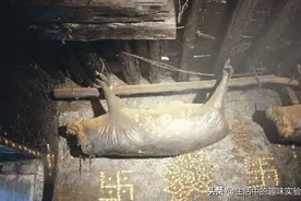 在房梁上悬挂53年的臭猪肉，你敢吃吗？当地人：有钱都买不来图片