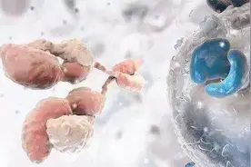人体最大的免疫器官是“肠道”？爱吃3种食物的人，肠道不会太差图片