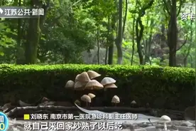 南京女子误食白色蘑菇中毒 专家：不鲜艳的野蘑菇也可能有毒图片