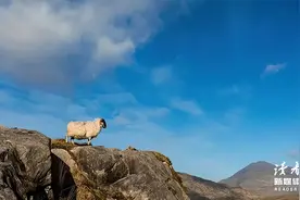 最令人讨厌的聊天方式Top1图片