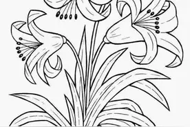 有手就能画，50张简笔画线稿资料，拿去画吧图片