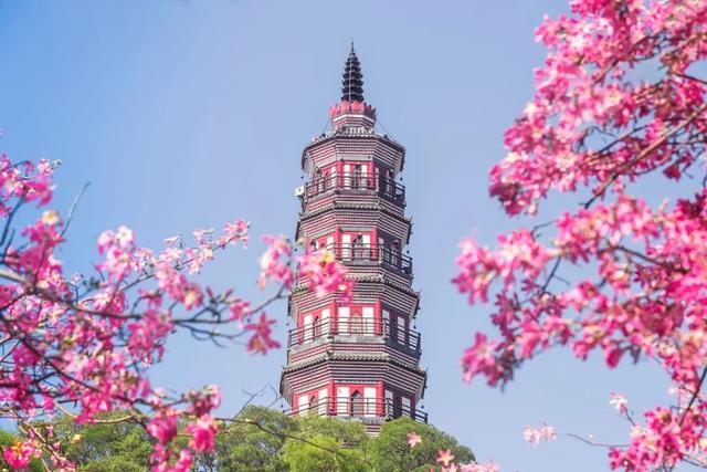 形容喝茶悠闲惬意的诗句（6首闲适诗词一壶清茶许流年）