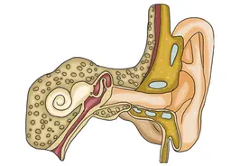 耳朵总是发痒，可能预示四种疾病，除了掏耳朵，还有3件事要少做图片