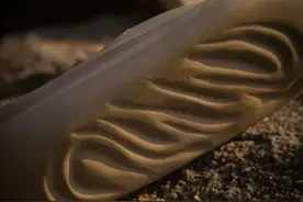 穿上这双拖鞋，你就能想到初恋｜球鞋推荐图片