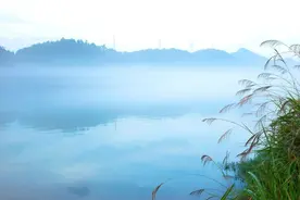 最凉爽不过夏夜！不读这20句诗词，你就不知道夏夜有多美图片