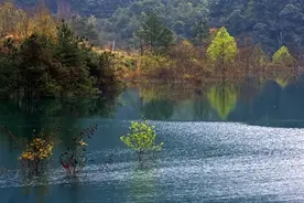 一夜暴富的财富密码，藏在中国小县城里图片