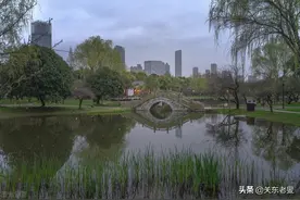 想起了四平联合收割机厂我的老朋友图片