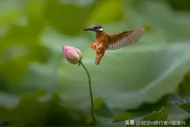 人过六十，命里没钱，是有定数的图片