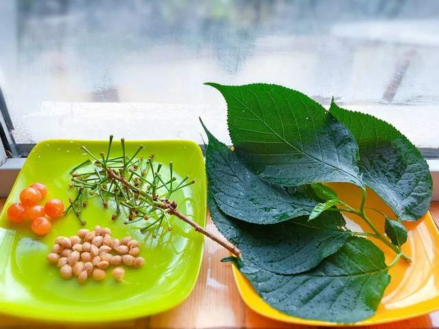 四川省民生研究会新媒体中心-官网