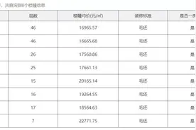 东二环新盘公示价格，超高层毛坯均价最低16665元每平米图片