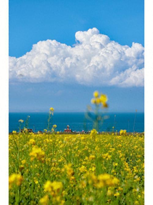 青海湖旅游攻略(青海湖10月份去冷吗)