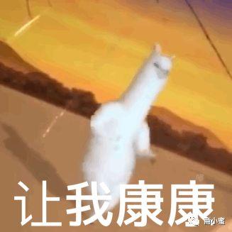 美容美业运营活动规划