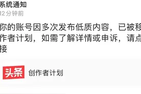 关于被移出创作者计划后，另起炉灶这件事图片