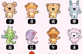 何为三会局 三合局 六合局 方法简单图片