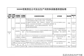 工贸企业--双重预防体系隐患排查清单图片