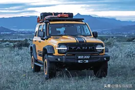 新车 | TANK字母大标+涉水喉等，坦克300新车下周上市，越野化升级图片