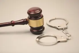 闲谈：《毒舌律师》下的司法制度差异图片