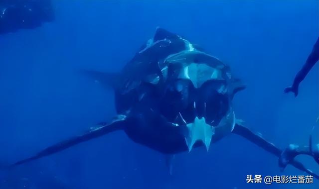 全球票房破30亿，卡神又破科幻天花板，四大卖点告诉你值在哪？