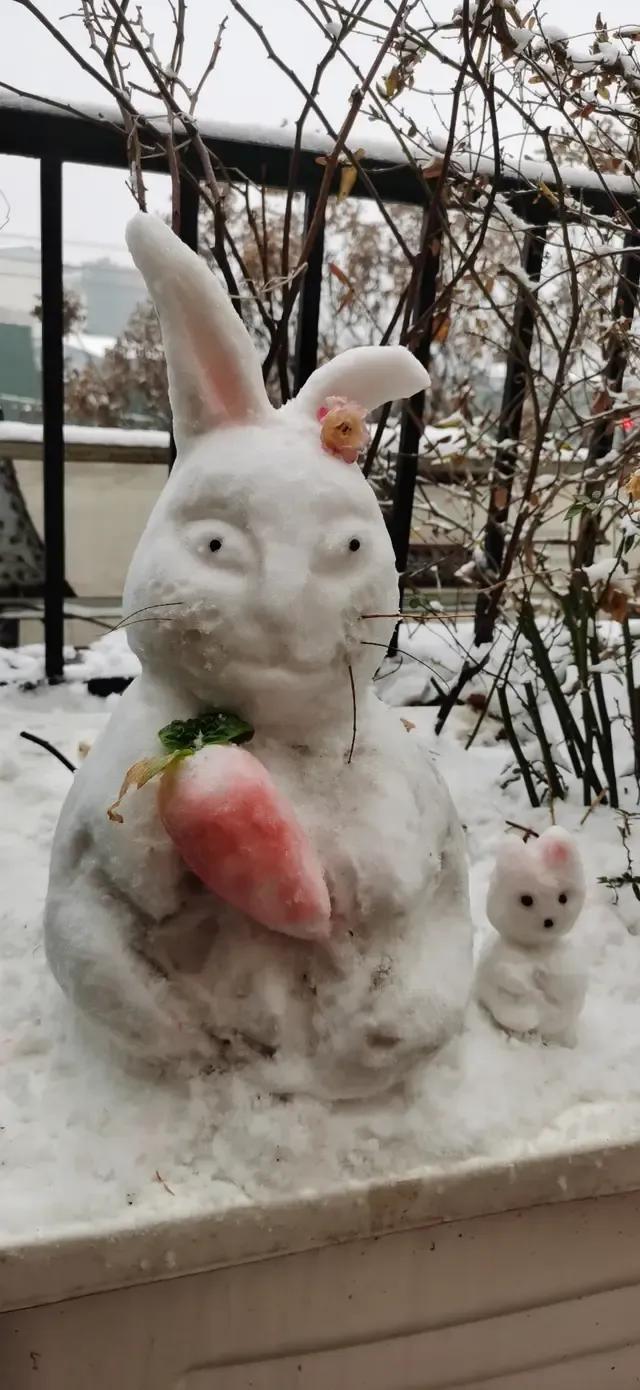 大郑州堆雪人内卷严重，哪个是金奖？全河南的雪人都在这里了