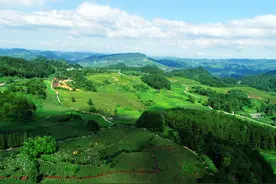 贵阳夏季旅居最为舒适天数达81天！图片