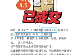 3.7万/㎡、4.1万/㎡！河西南房价，遭遇暴击！图片